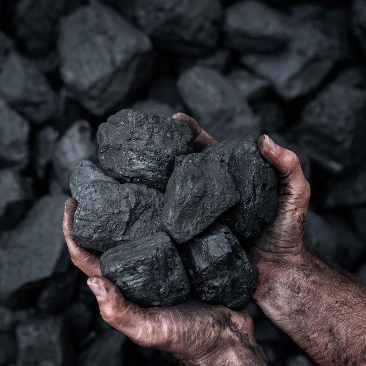 Kohle in den Händen einer Person